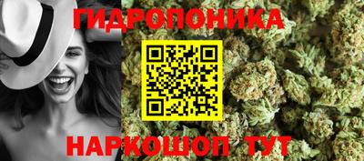 гашик Ипатово