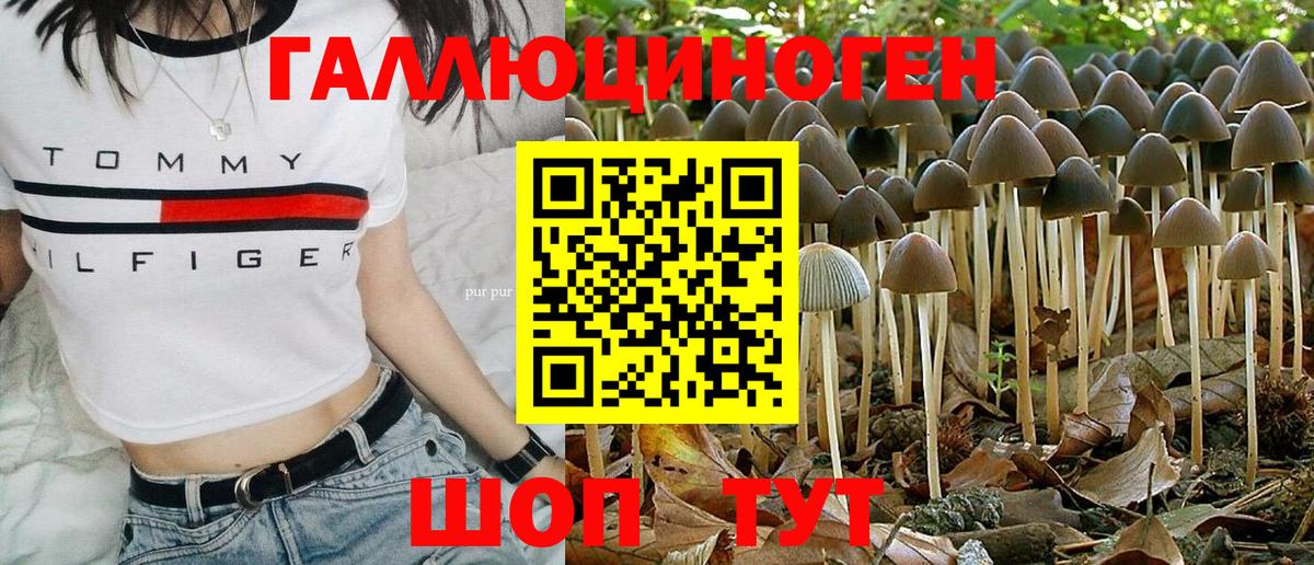 Псилоцибиновые грибы Magic Shrooms  Галлюциногенные грибы Psilocybe  Вход с VPN  Лениногорск 