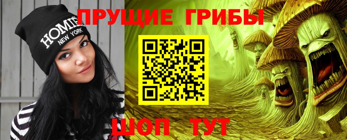 Псилоцибиновые грибы Psilocybe Лениногорск